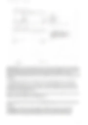 Page 12 of the analysis file; a permanently blurred preview.